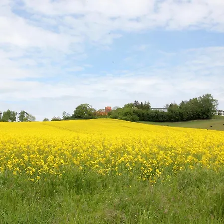 Gratis Nutzung Vom Ahoi Erlebnisbad Und Sauna In Sellin - Kurhaus Nordstrand 44 * Goehren (Ruegen)